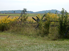 Gettysburg Museum